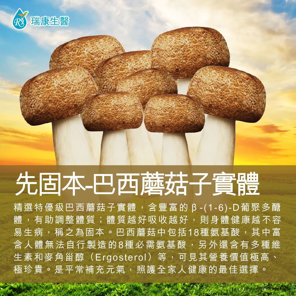 瑞康生醫 台灣特級巴西蘑菇乾菇-冷凍乾燥技術-80g/入-共
