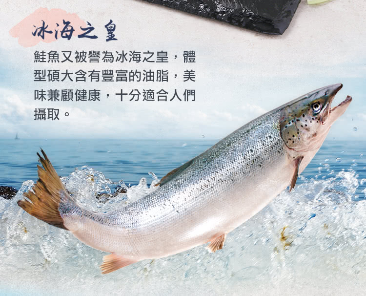 北村漁家 大西洋野生鮭魚菲力排120克x15包 推薦
