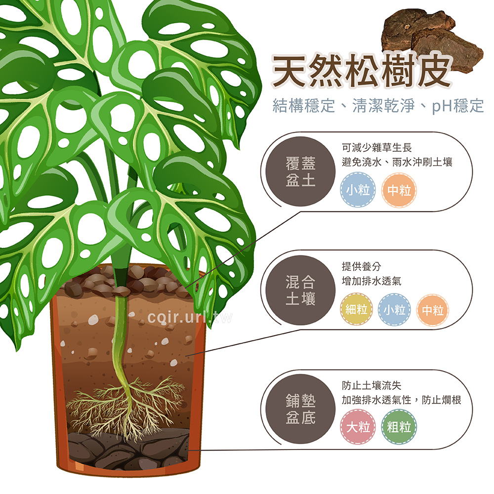 çµæ§ç©©å®ãæ¸æ½ä¹¾æ·¨ãpHç©©å®