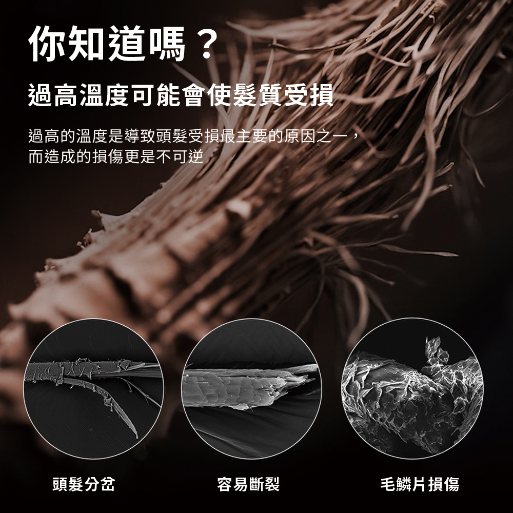éé«çæº«åº¦æ¯å°è´é ­é«®åææä¸»è¦çåå ä¹ä¸,