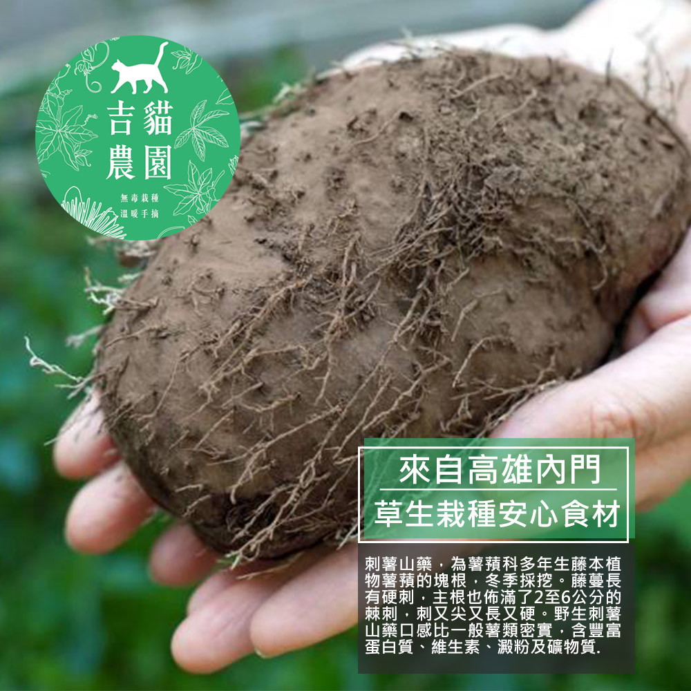 吉貓農園 高雄內門刺薯山藥5台斤x3箱(約3~6顆/箱_產地