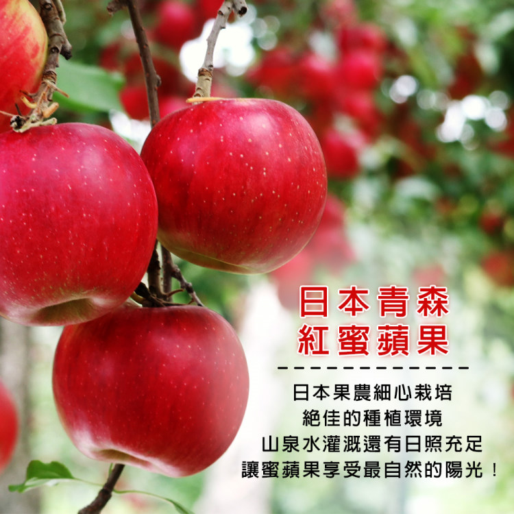 切果季 日本青森紅蜜蘋果32粒頭6入x1盒(2kg/盒_頂級