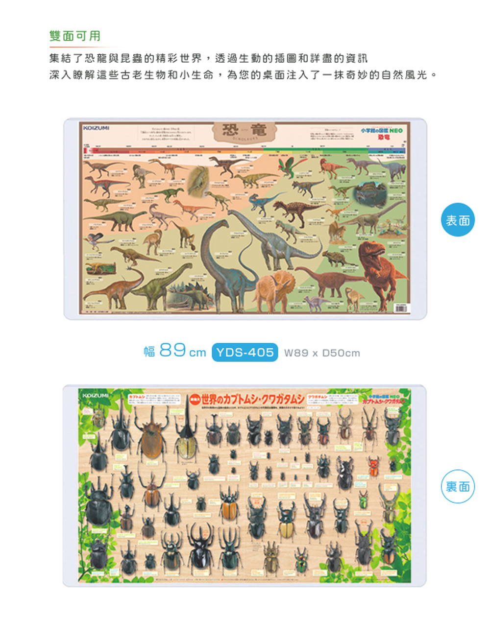 深入瞭解這些古老生物和小生命,為您的桌面注入了一抹奇妙的自然風光。