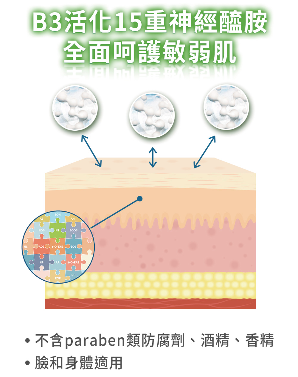 B3活化15重神經醯胺 全面呵護敏弱肌 不含paraben類防腐劑、酒精、香精 臉和身體適用 
