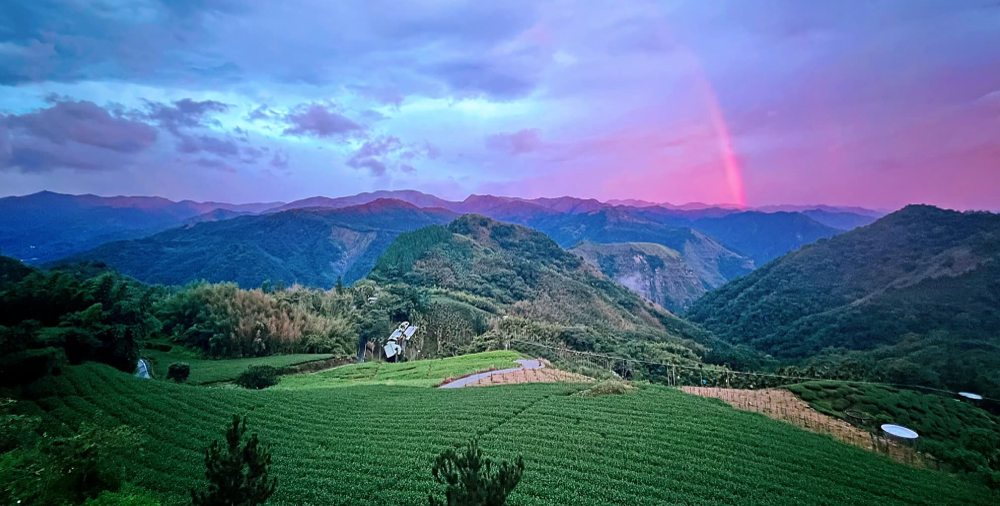 JC咖啡 台灣 阿里山 達邦村 飲山郁 水洗│淺焙 半磅[2