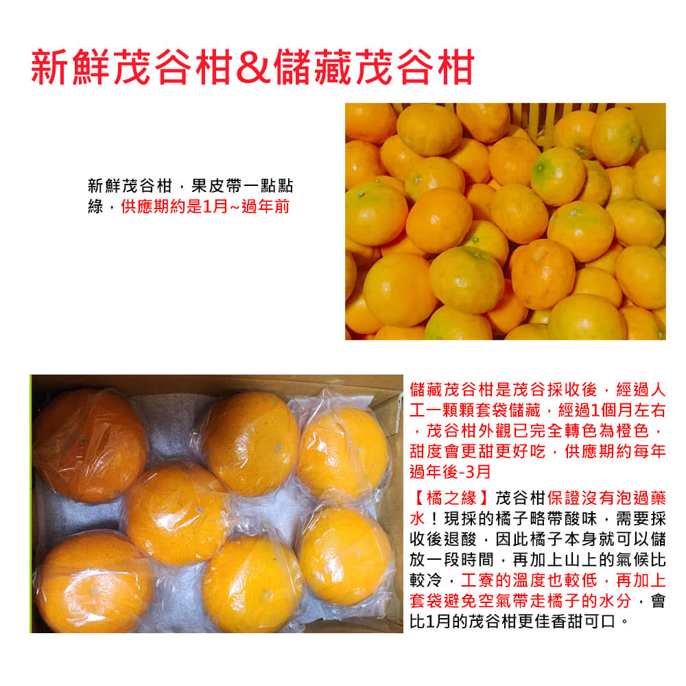 橘之緣 台中東勢23A茂谷柑17斤禮盒x1箱(約60~63顆