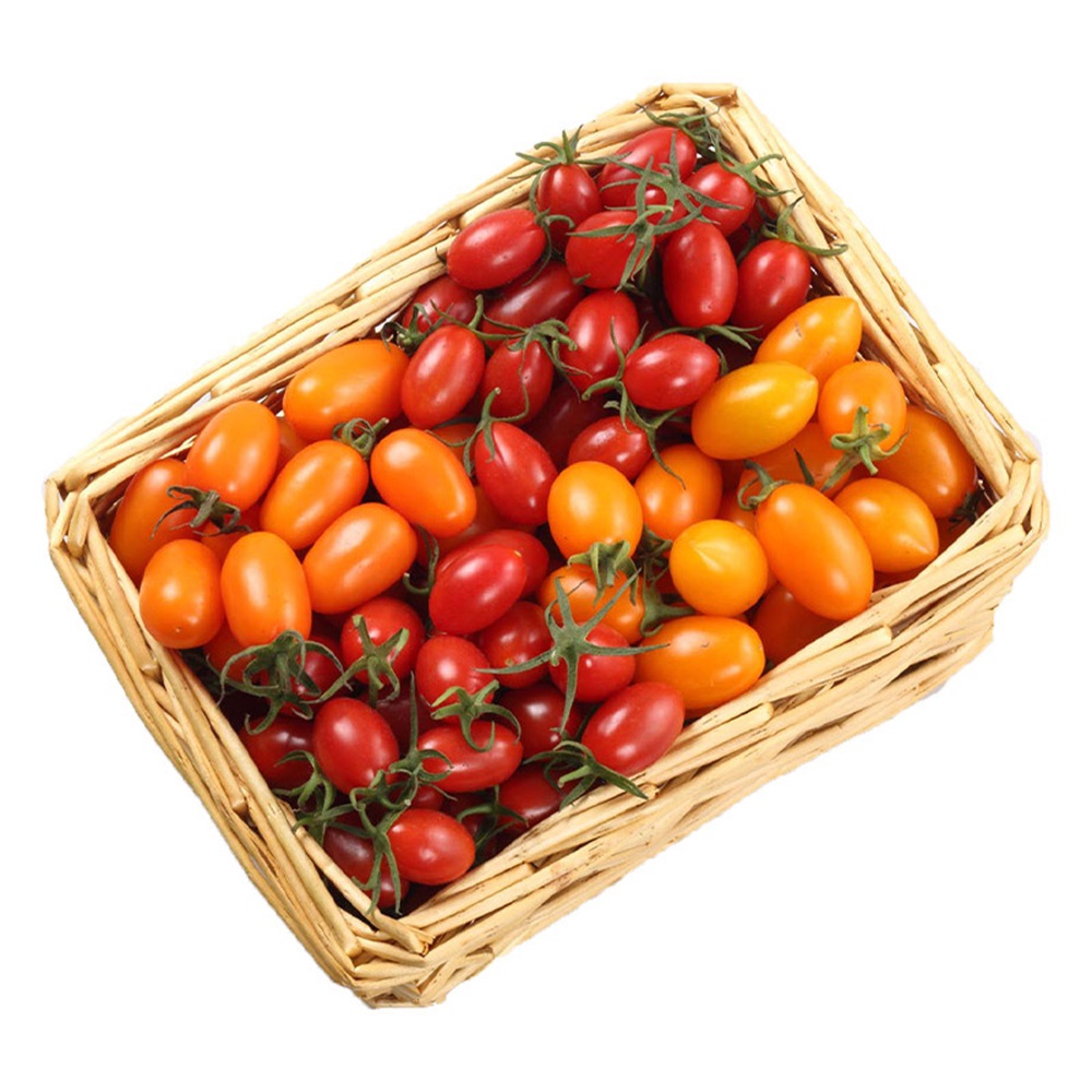 皮果家 雙色小番茄6斤一箱(會出6.1斤確保足重)優惠推薦
