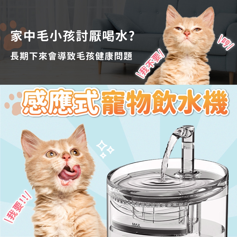 捕夢網 寵物自動飲水機 感應款(寵物飲水機 自動飲水機 貓咪