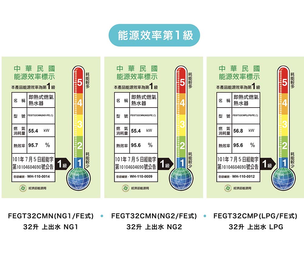 Dyhot 東湧 即熱式燃氣熱水器 一級能效 強排 FEGT