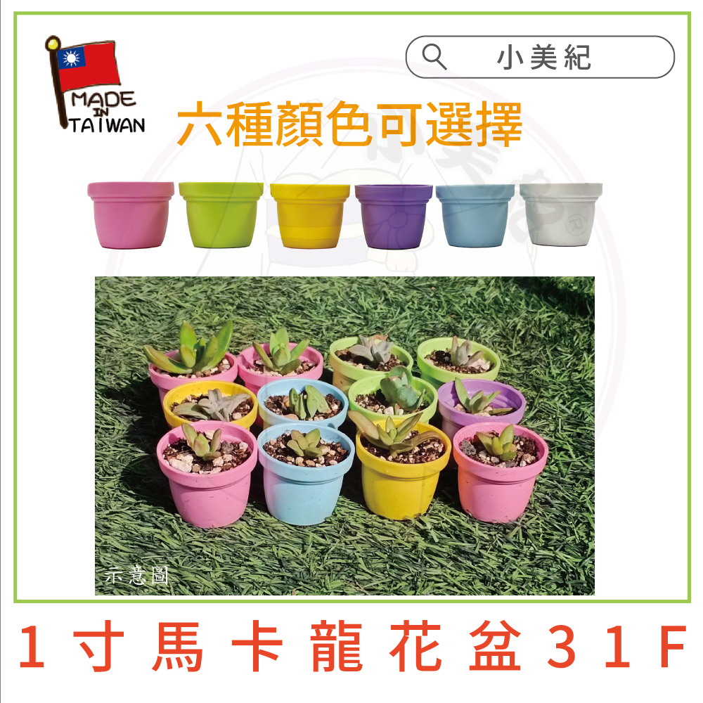 六種顏色可選擇 小美紀 示意圖 1寸馬卡龍花盆 31F 
