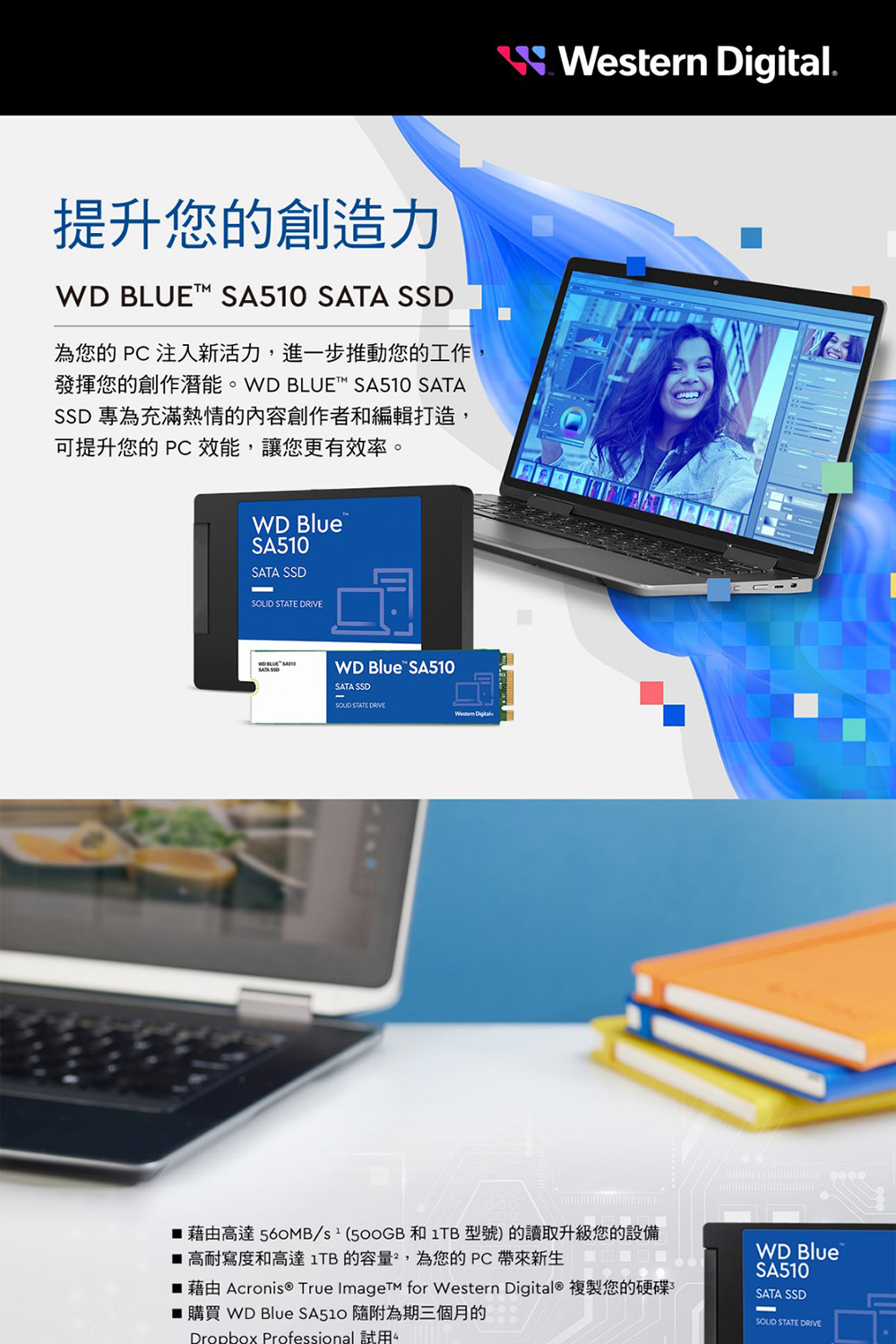 WD 威騰 WD BLUE藍標 SA510 1TB 2.5吋