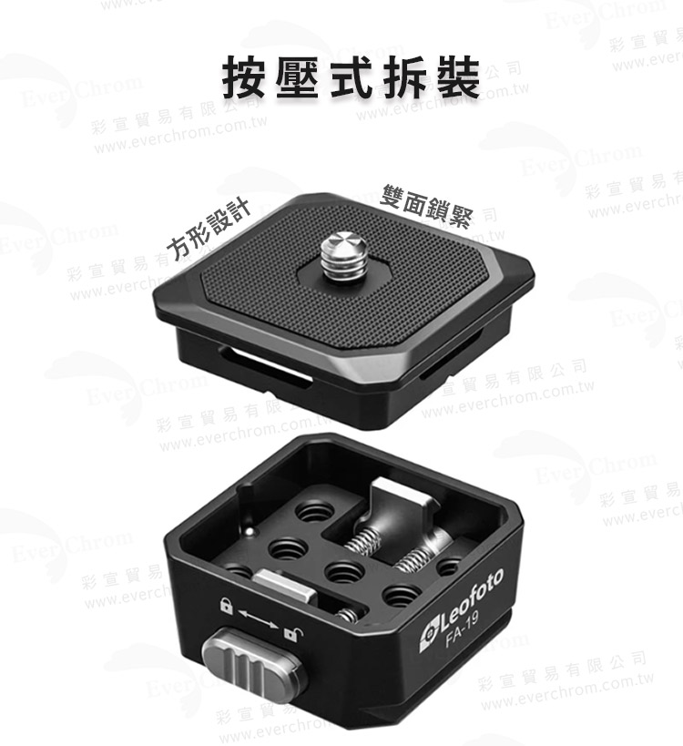 彩宣貿易 方形設計