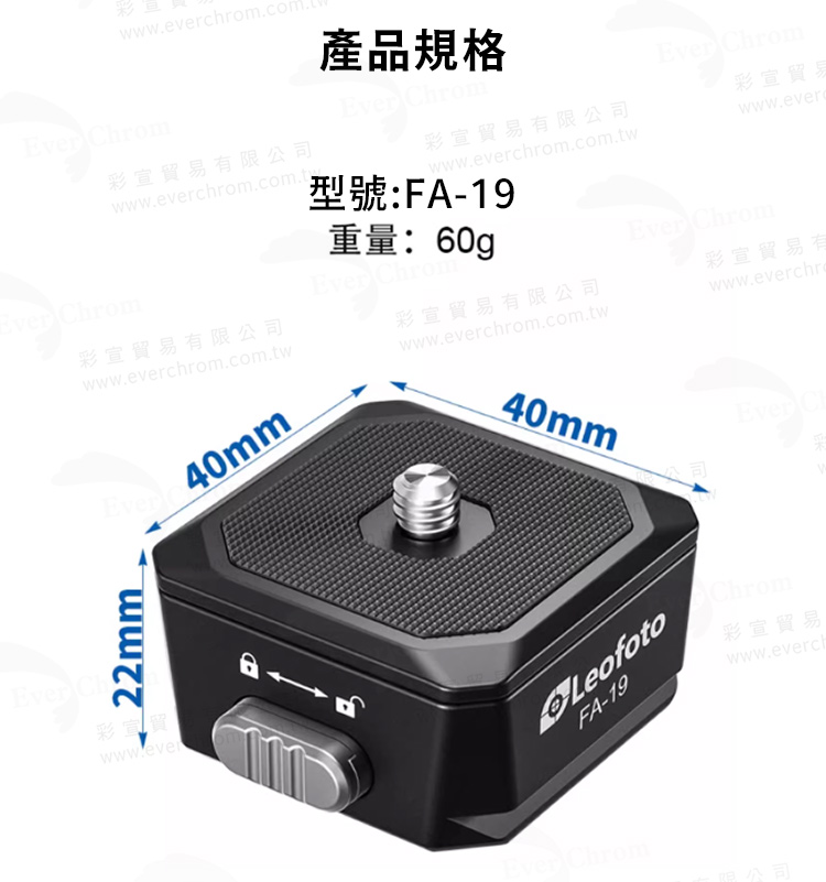 彩宣貿易有限公司