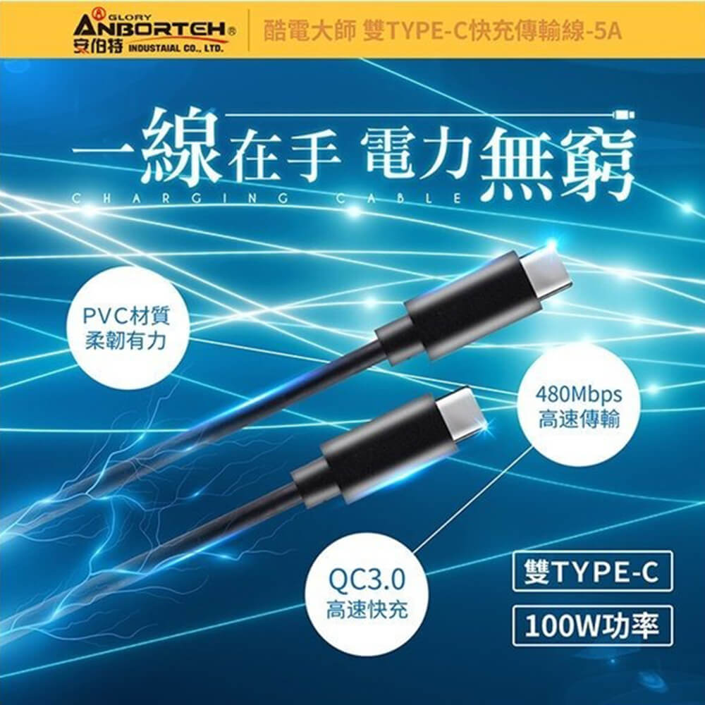 ANBORTEH 安伯特 雙TYPE-C快充傳輸線100W/