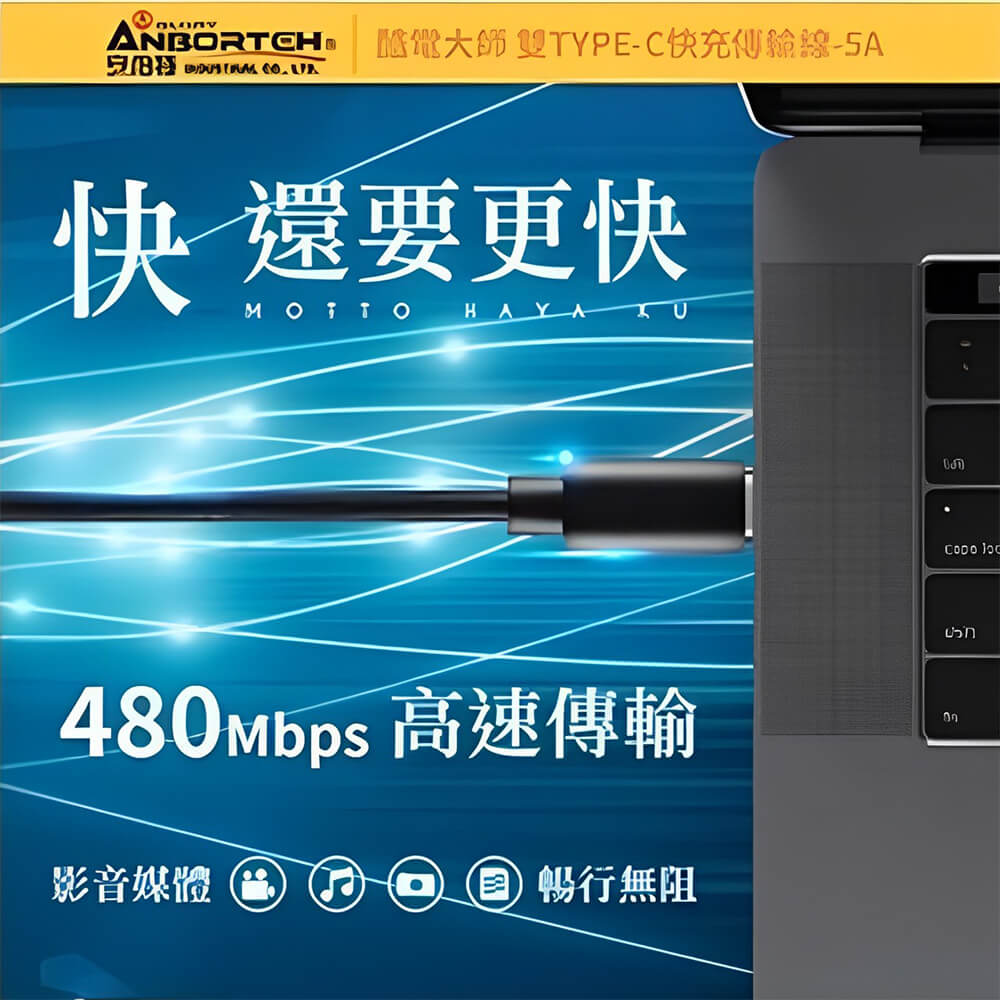 ANBORTEH 安伯特 雙TYPE-C快充傳輸線100W/