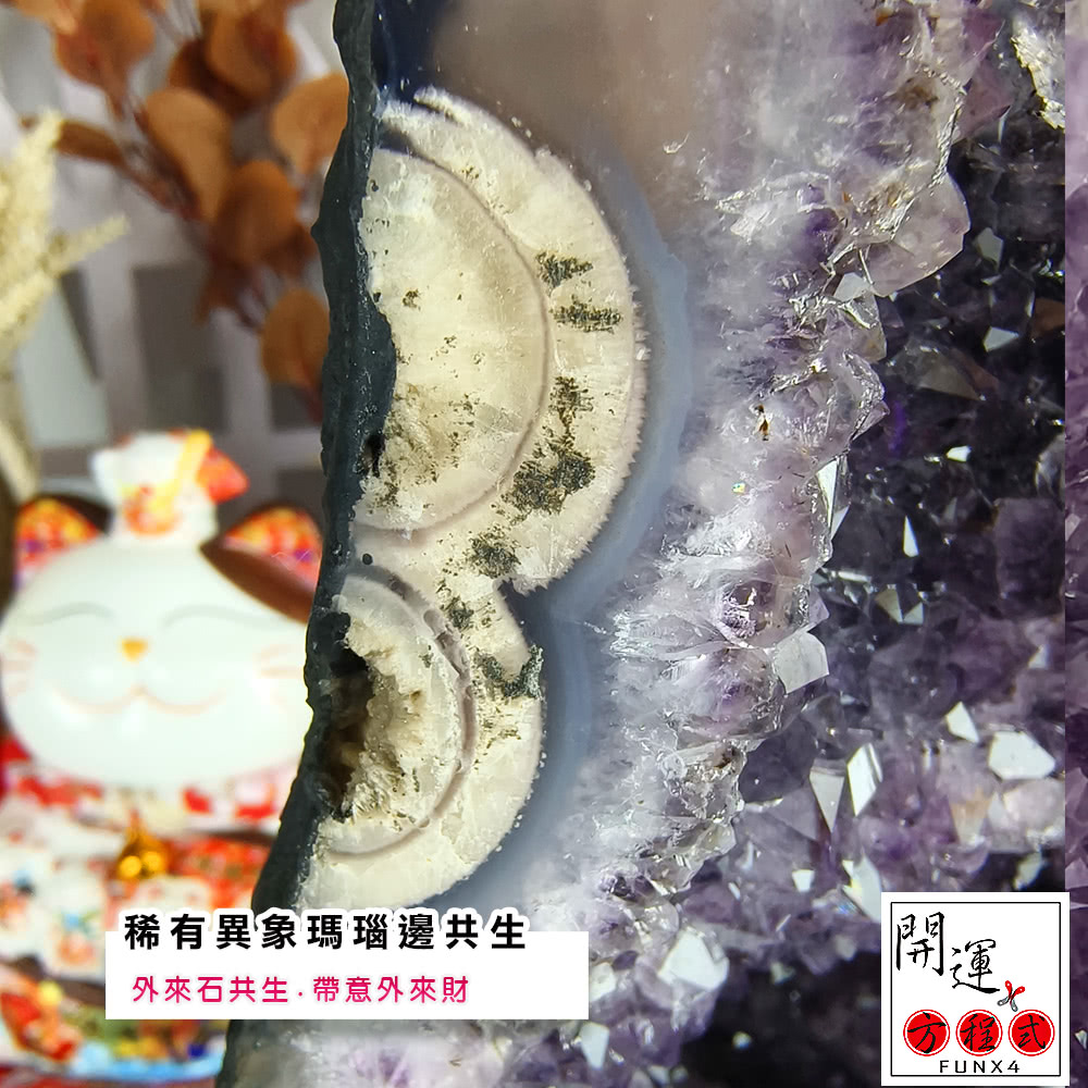 開運方程式】巴西紫晶洞l紫水晶洞異象共生瑪瑙邊JU393(10.84kg) - momo