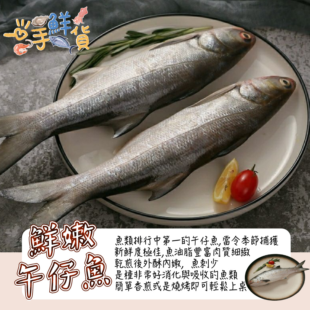 一手鮮貨 臺灣大午仔魚(3尾組/單尾殺清前600g)品牌優惠