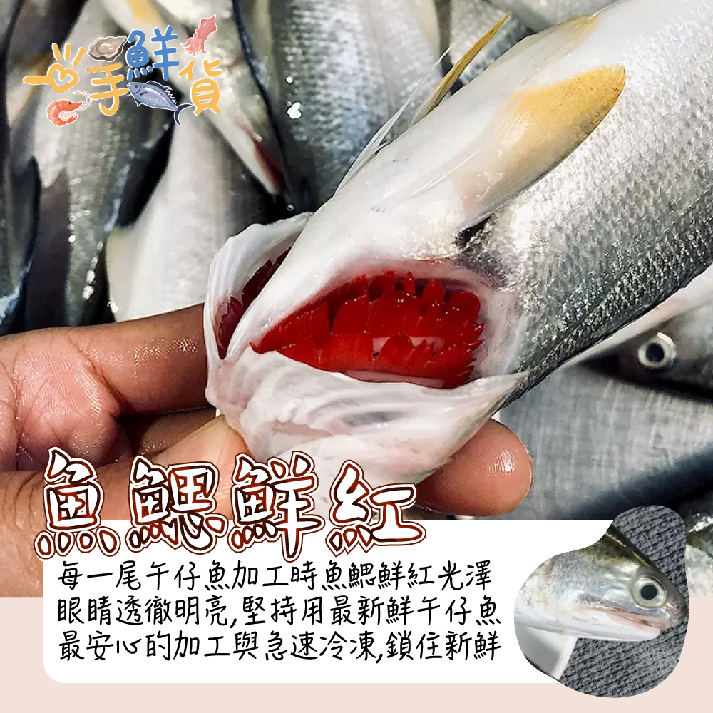 一手鮮貨 臺灣大午仔魚(3尾組/單尾殺清前600g)品牌優惠