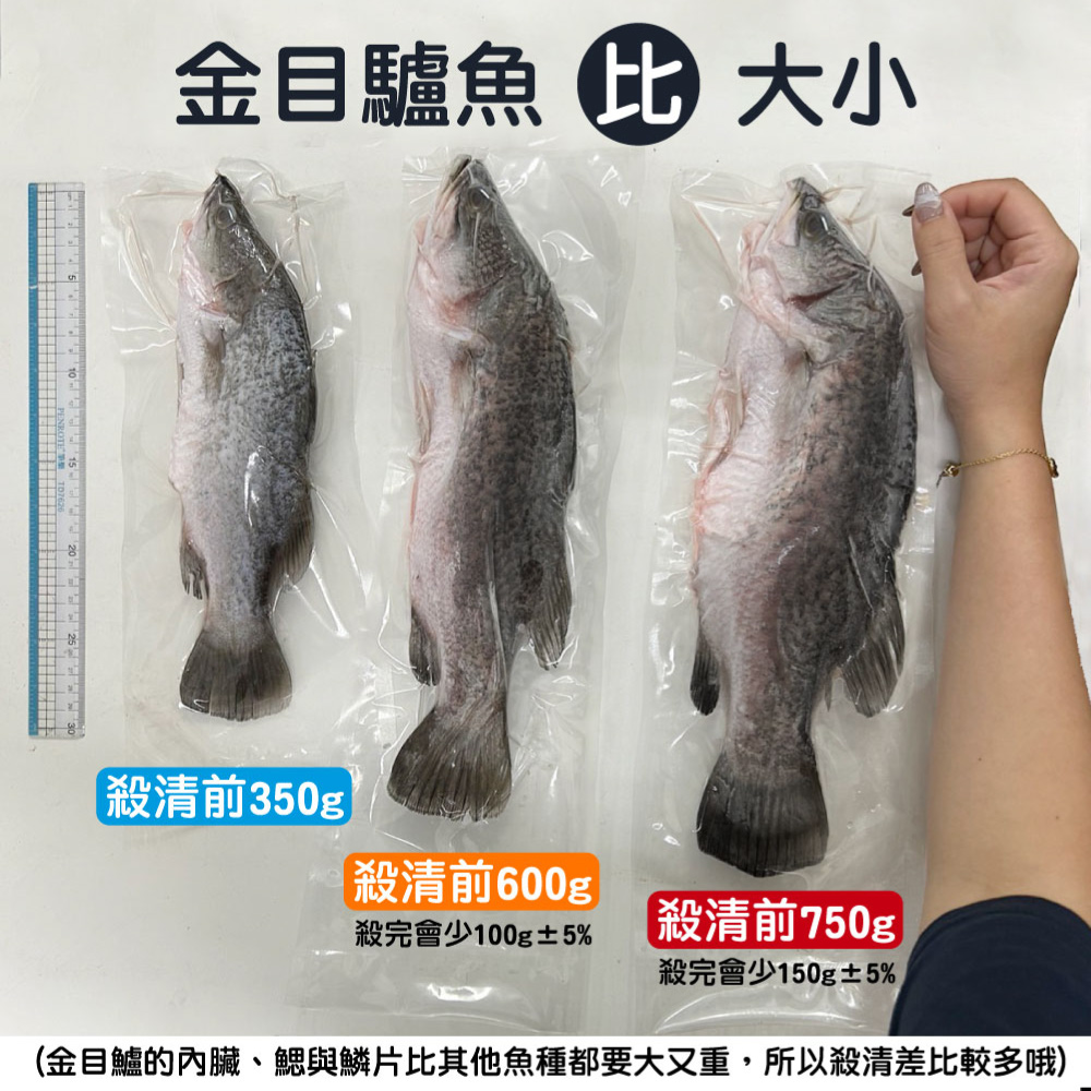 一手鮮貨 台灣生態養殖金目鱸魚(4尾組/單尾殺清前750g/