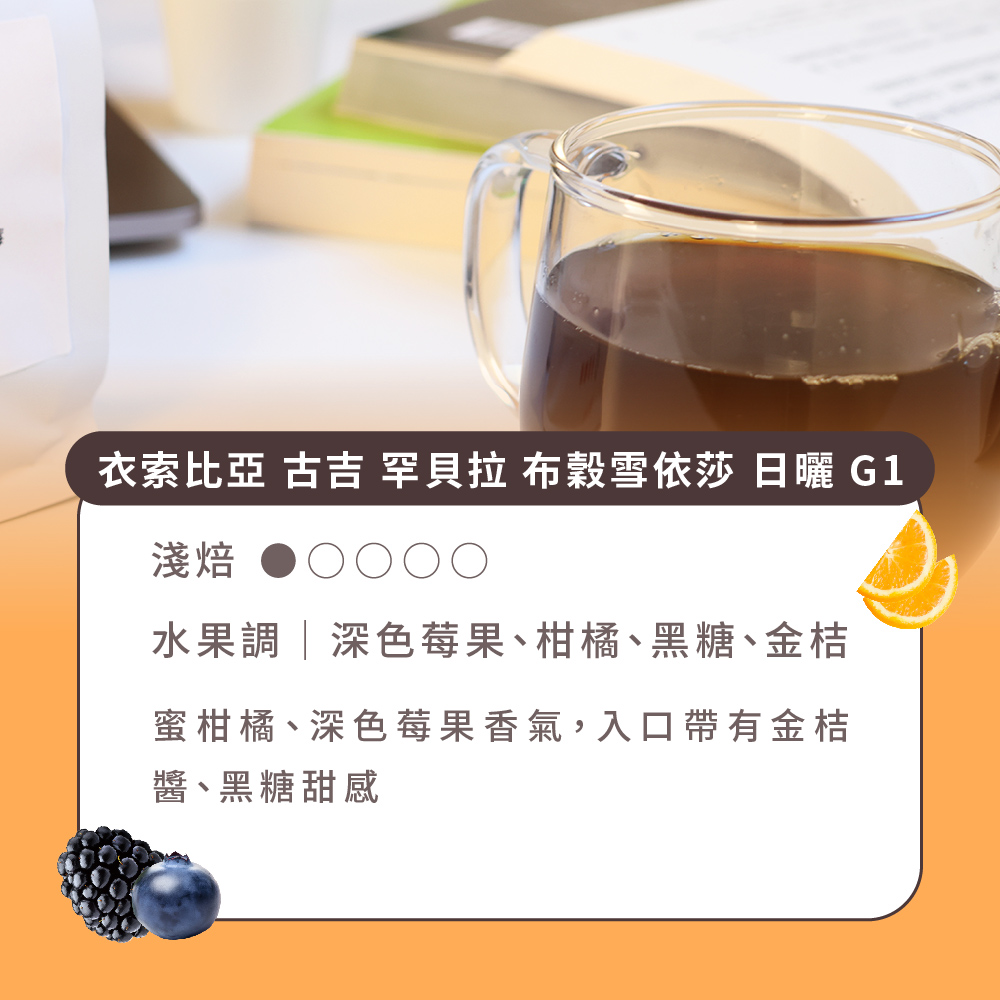 Buon Caffe 步昂咖啡 衣索比亞 古吉 罕貝拉 布穀