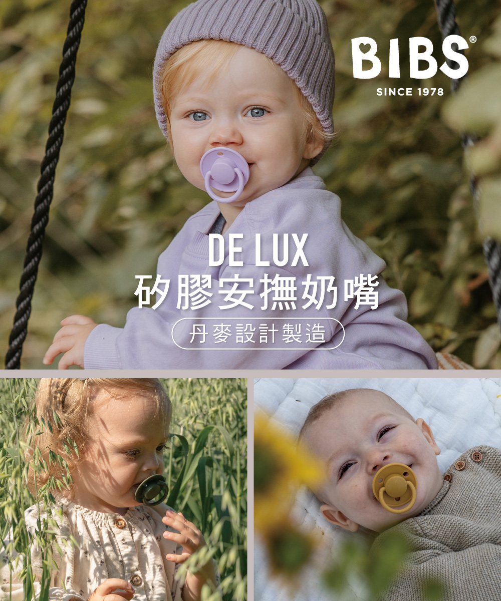 BIBS De Lux 矽膠奶嘴-2入組(丹麥奶嘴 總代理公