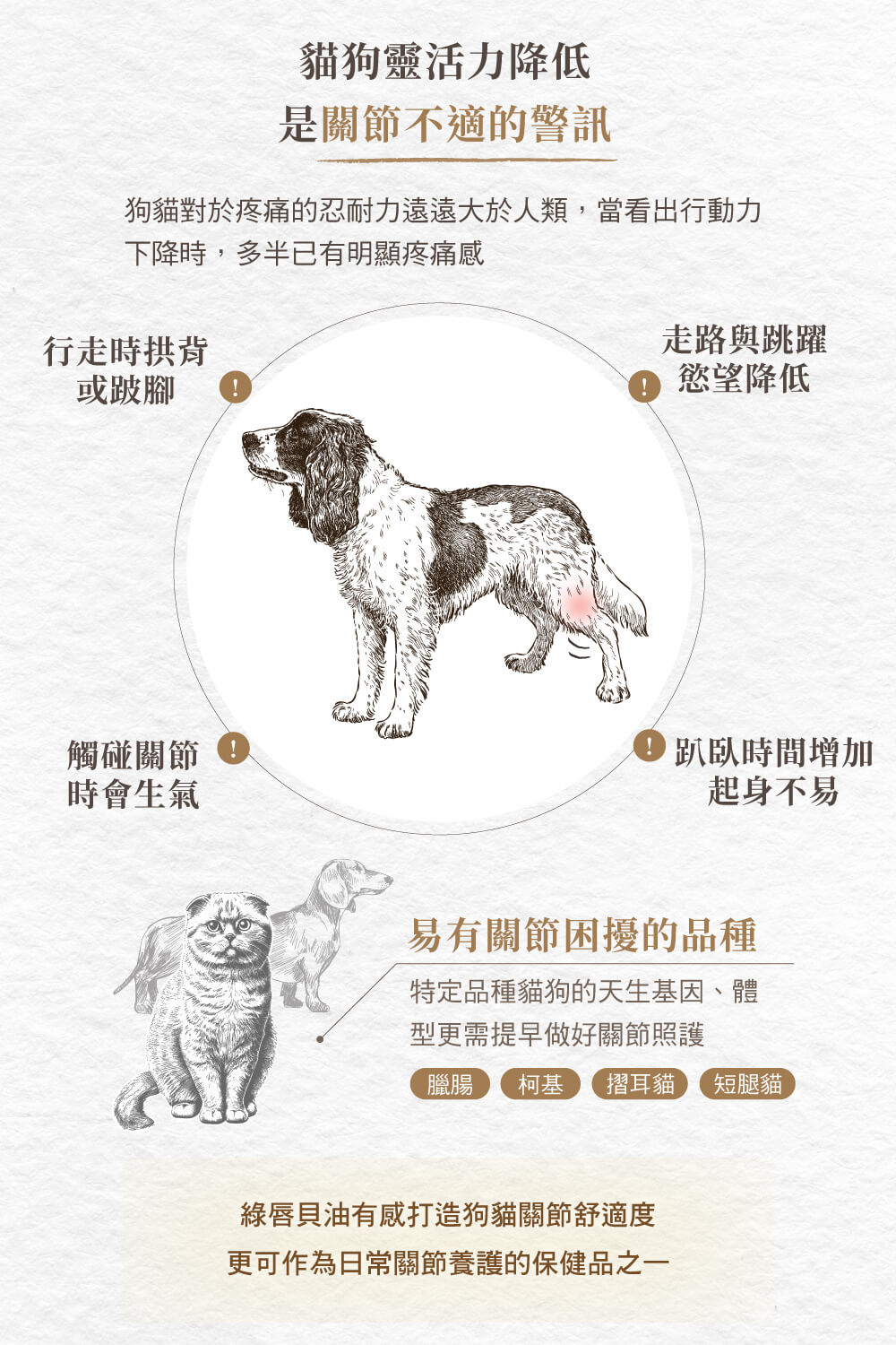 狗貓對於疼痛的忍耐力遠遠大於人類,當看出行動力