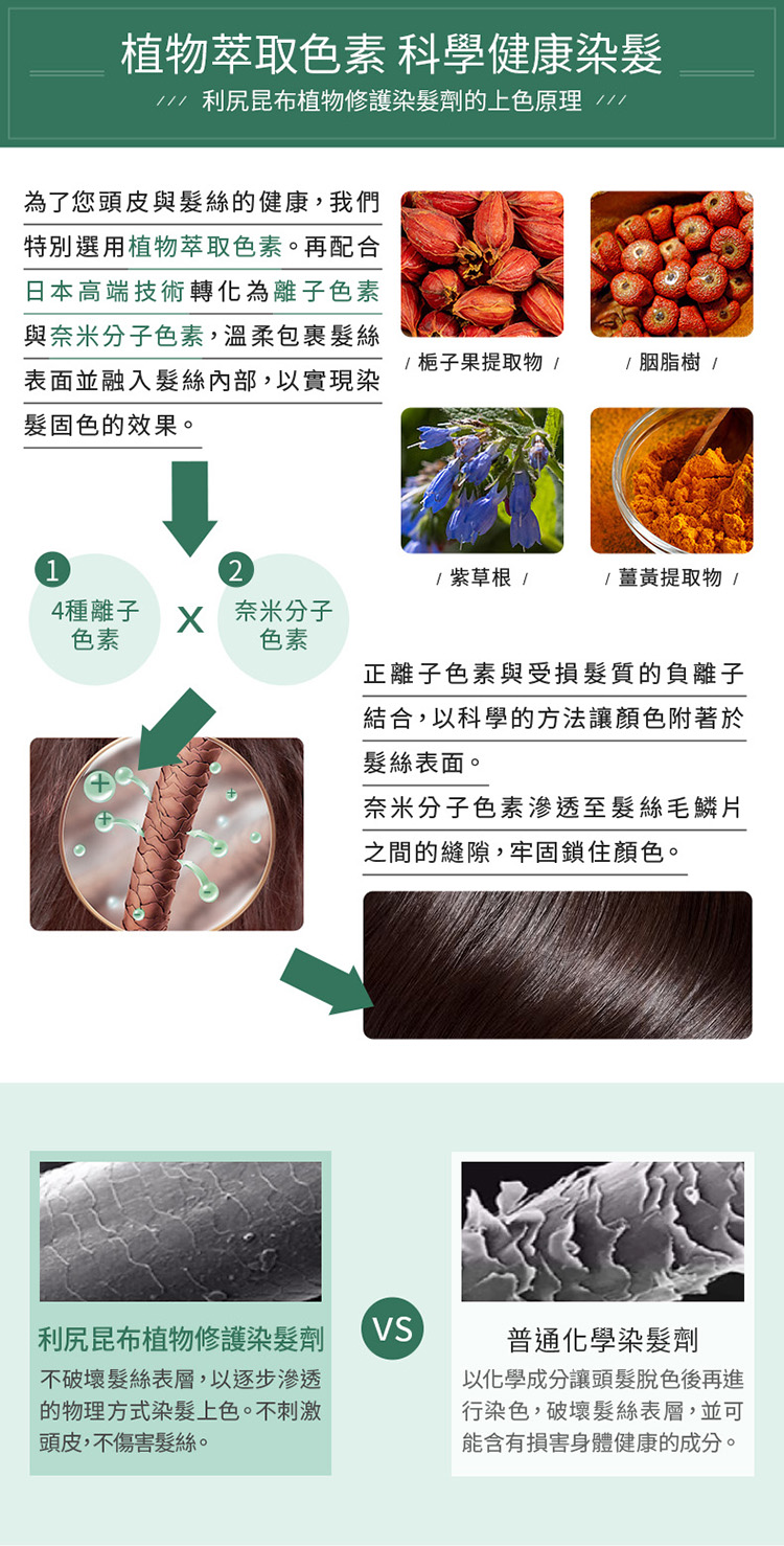 利尻昆布植物修護染髮劑的上色原理