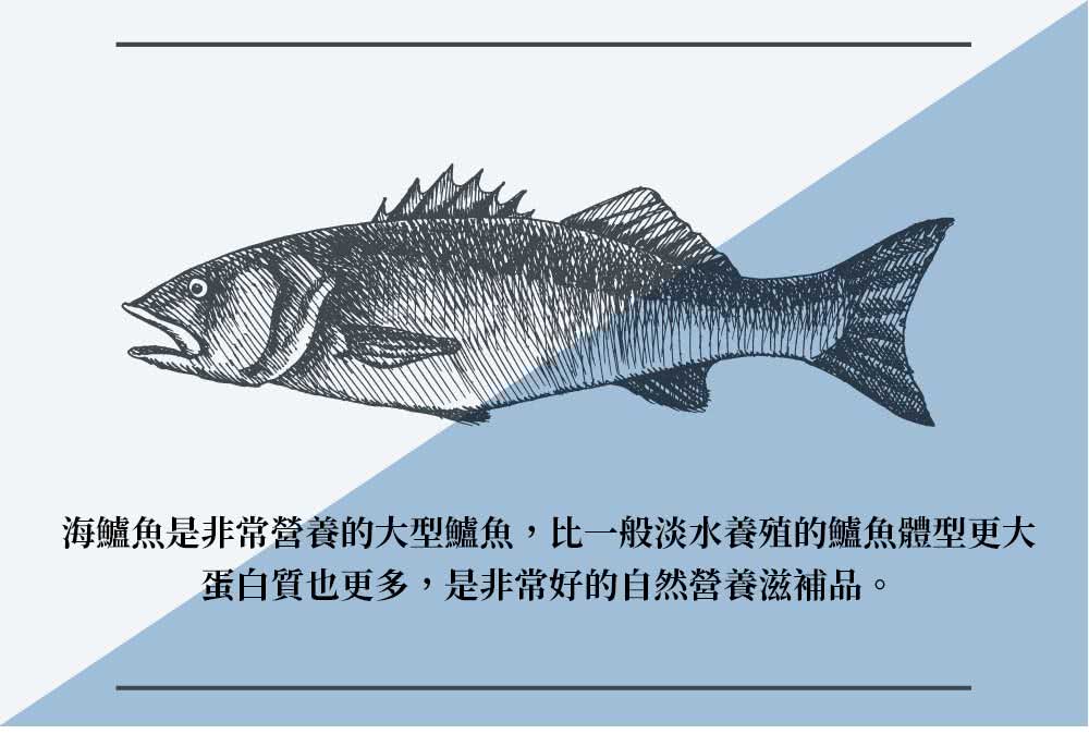 築地一番鮮 御品金目鱸魚片美饌15片組(200-300g/片