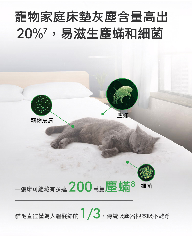 一張床可能藏有多達200萬隻塵蟎
