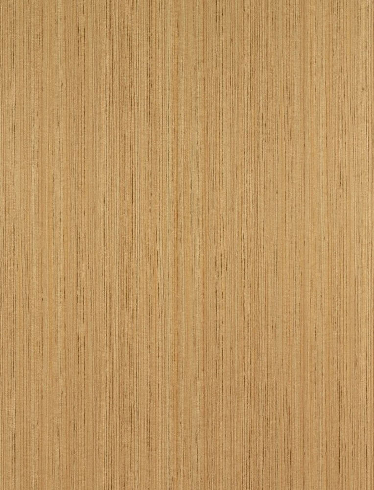 MUNA 家居 艾麗絲4尺商業桌/大/不含椅(桌子 餐桌 休 MUNA 家居 艾麗絲4尺商業桌/大/不含椅(桌子 餐桌 休