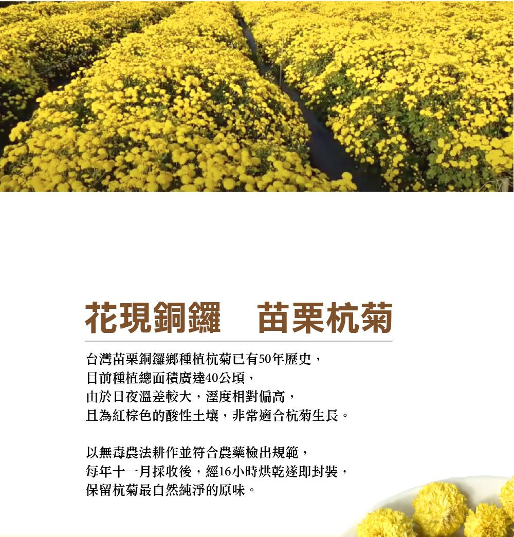 每年十一月採收後,經16小時烘乾遂即封裝,
