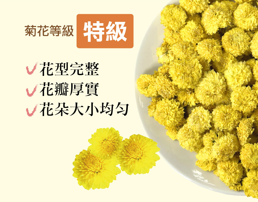 菊花等級 特級 花型完整 花瓣厚實 v花朵大小均匀 