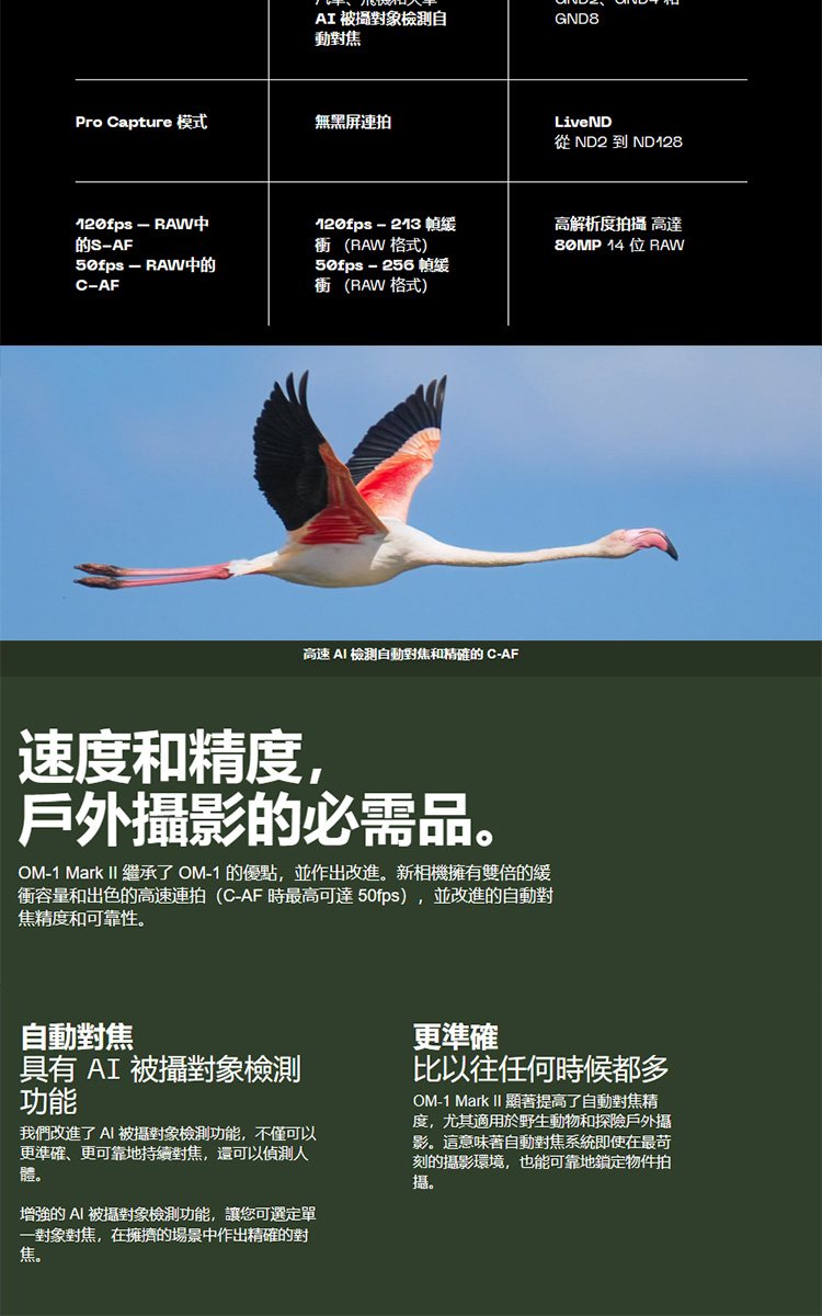 OLYMPUS奧林巴斯 OM-1 Mark II - 詳情7
