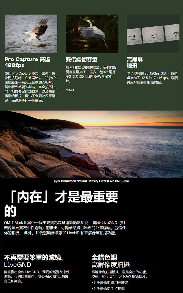 OLYMPUS奧林巴斯 OM-1 Mark II - 詳情8