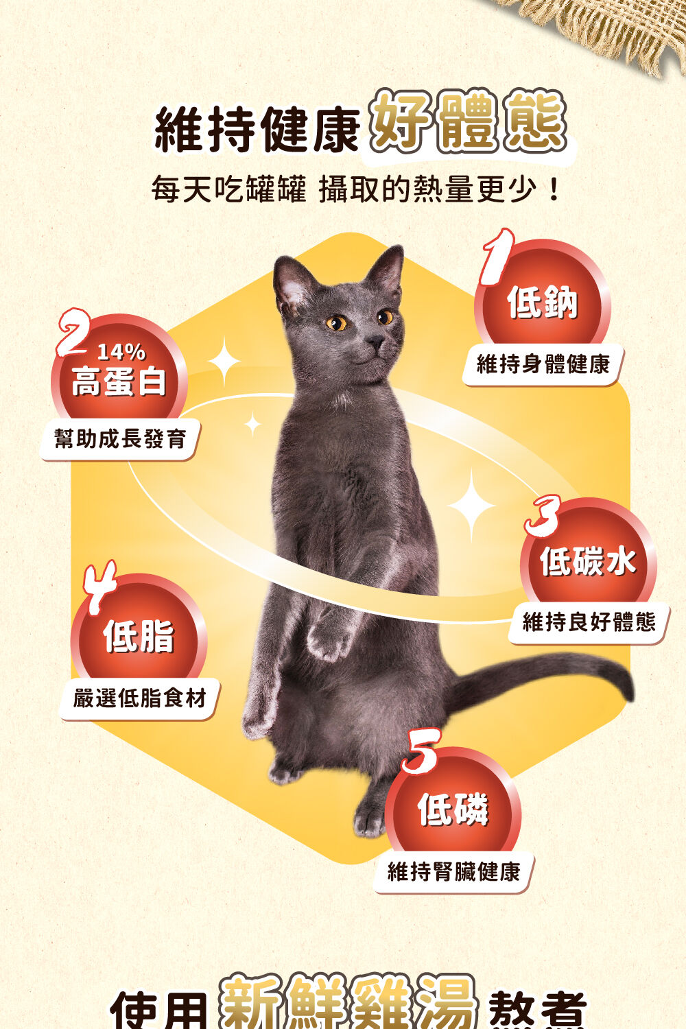 每天吃罐罐 攝取的熱量更少