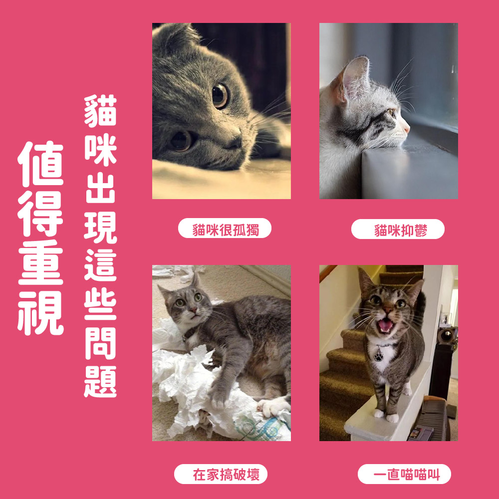 è²åªåºç¾éäºåé¡