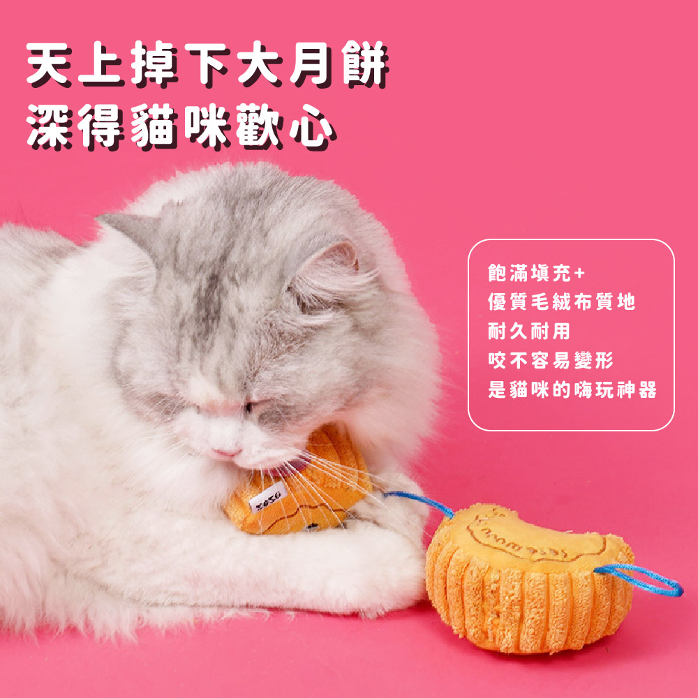 æ¯è²åªçå¨ç©ç¥å¨