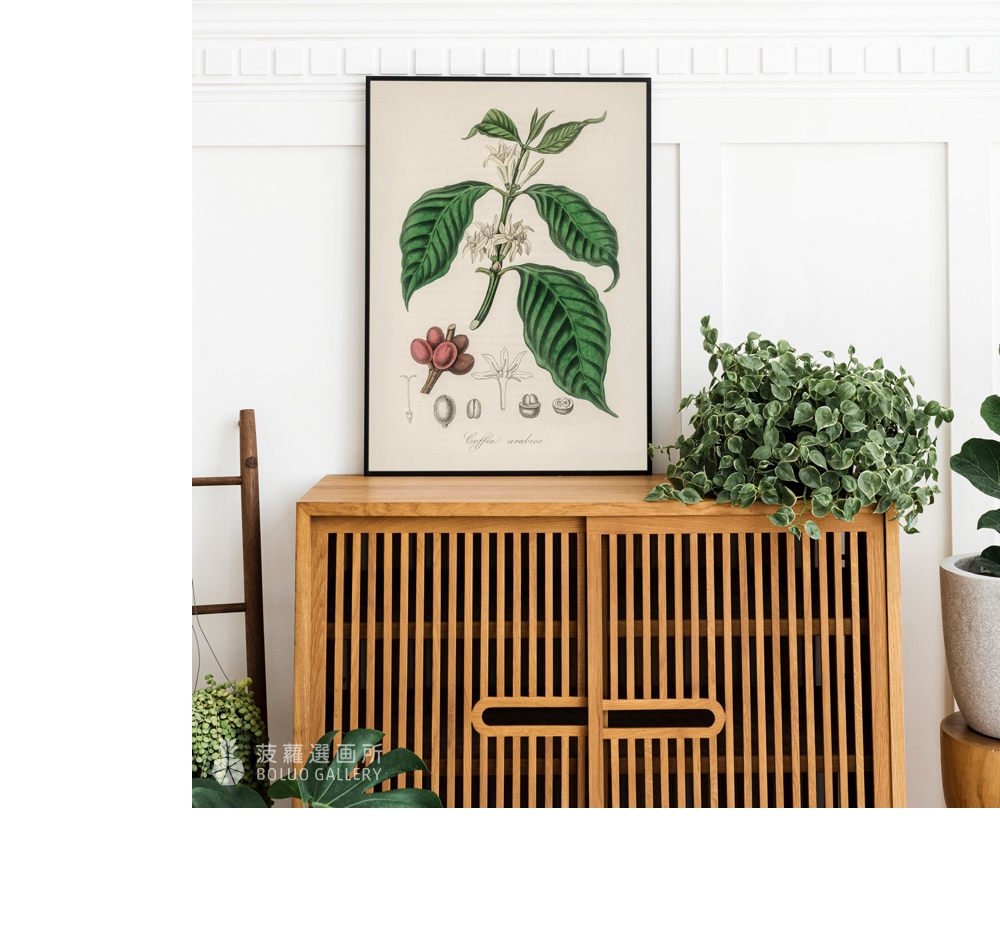 菠蘿選畫所 小果咖啡插畫 - 70x100cm(廚房裝飾掛畫