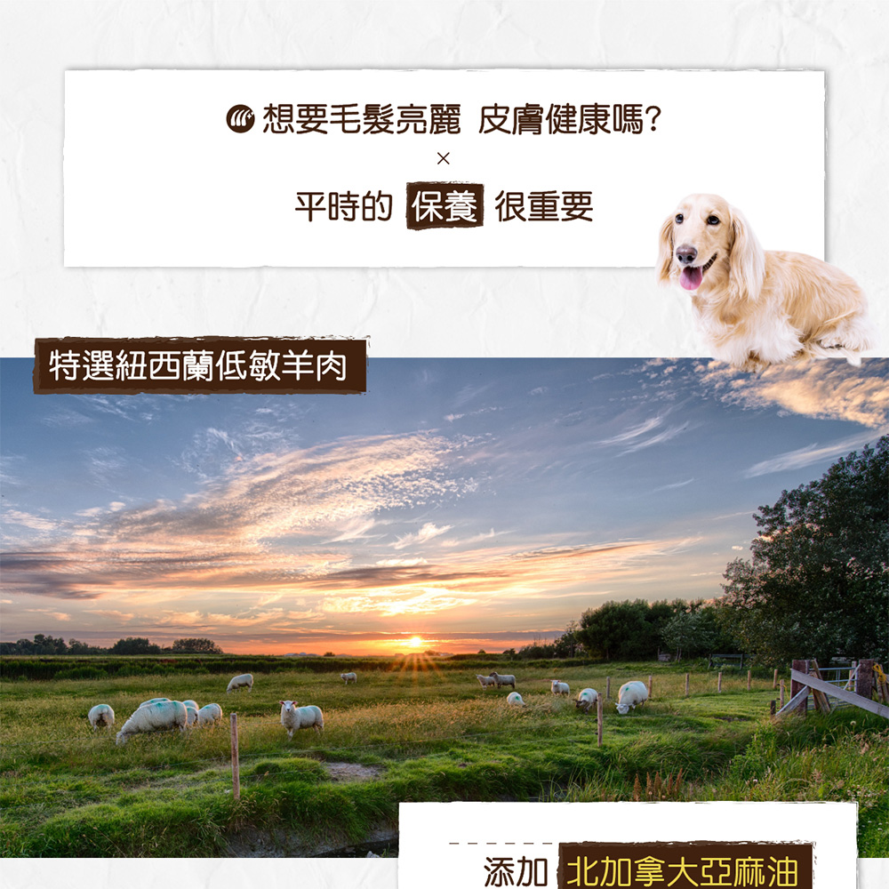 PURE 猋 全齡犬糧3kg 羊肉 敏感皮膚配方(狗飼料/犬