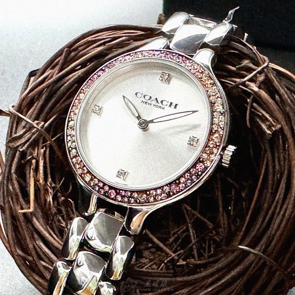 COACH COACH手錶型號CH00203(銀白色錶面銀錶