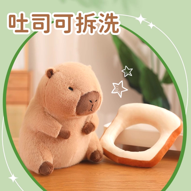 吐司可拆洗 