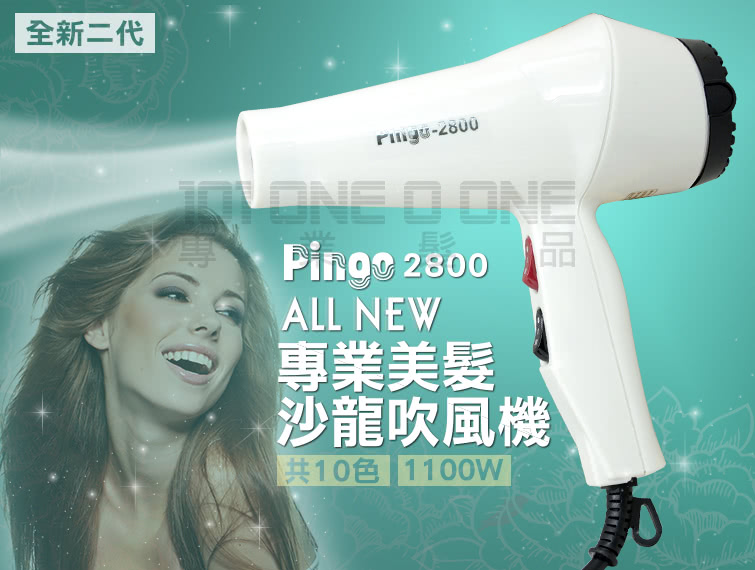 å¨æ°äºä»£ å°æ¥­ç¾é«® æ²é¾å¹é¢¨æ© å±10è² 1100W 