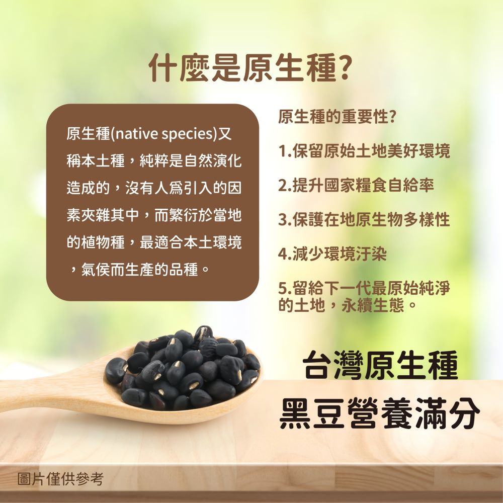 原生種native species又