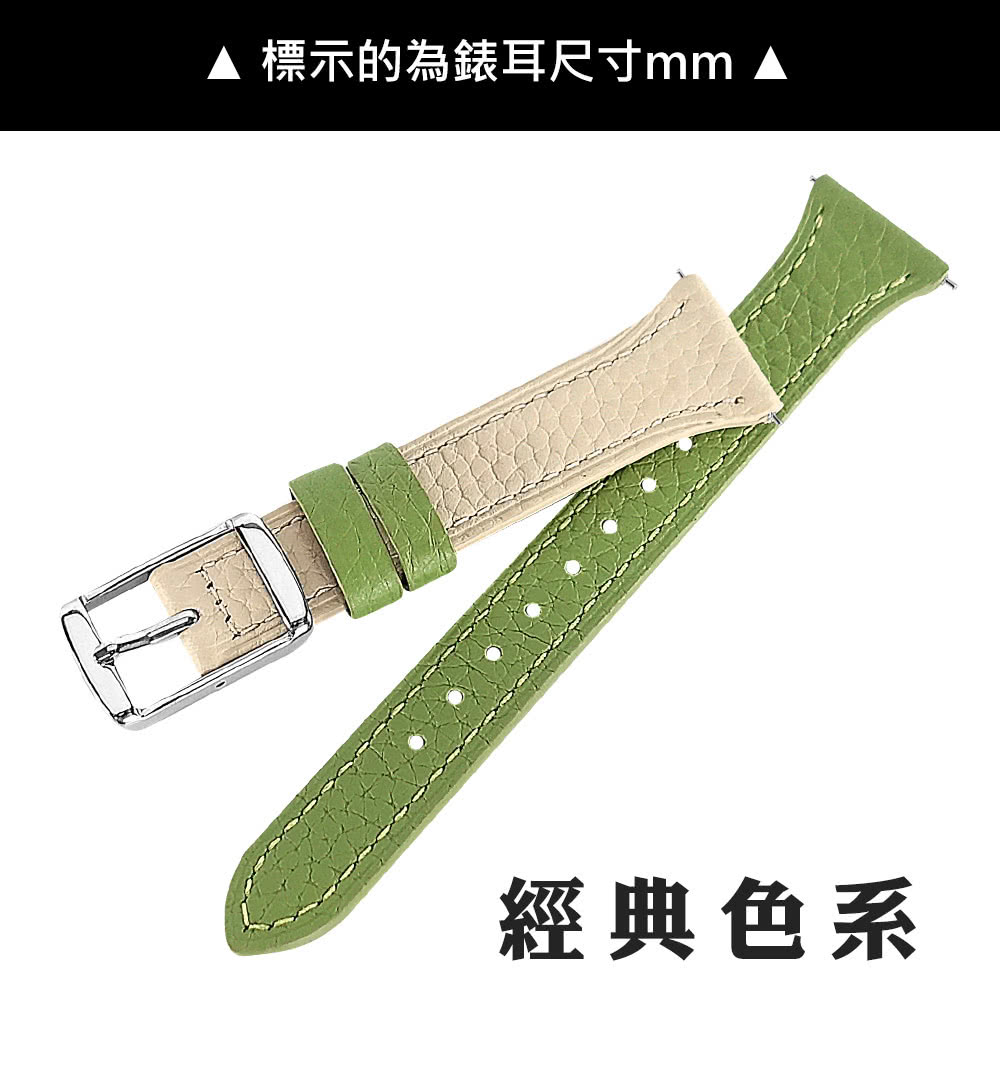 Watchband 18.20.22mm / 各品牌通用 經