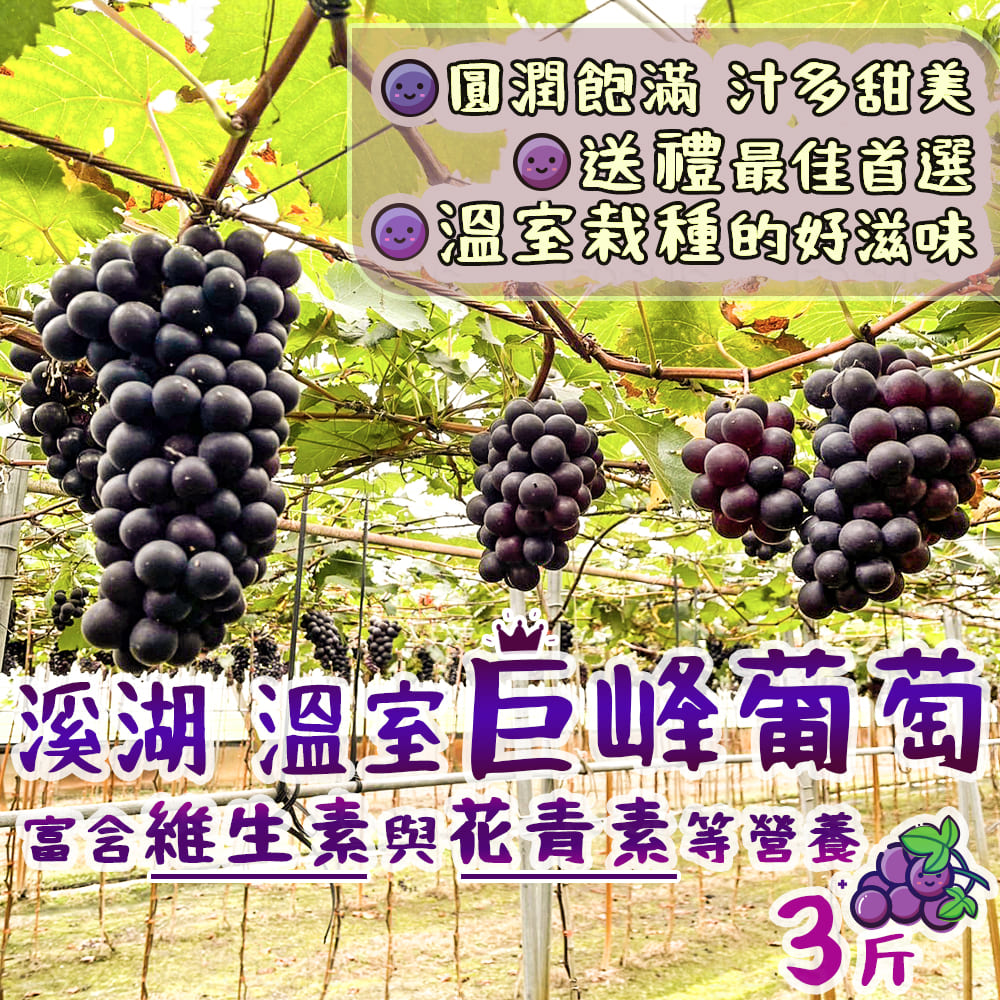 吉好味 香甜飽滿溪湖溫室巨峰葡萄3斤*1箱(1箱3包、1包約