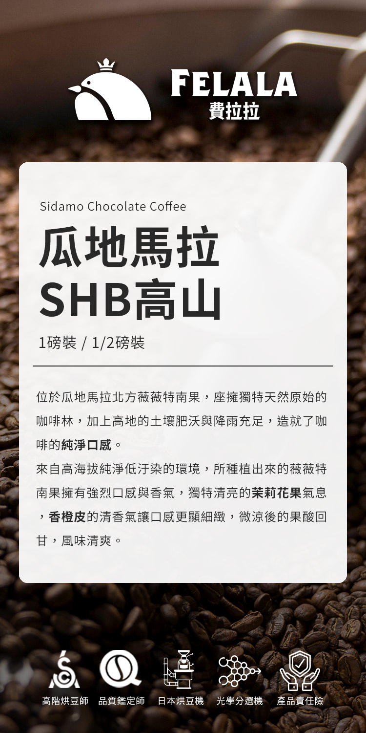 Felala 費拉拉 中烘焙 瓜地馬拉 SHB高山 咖啡豆 