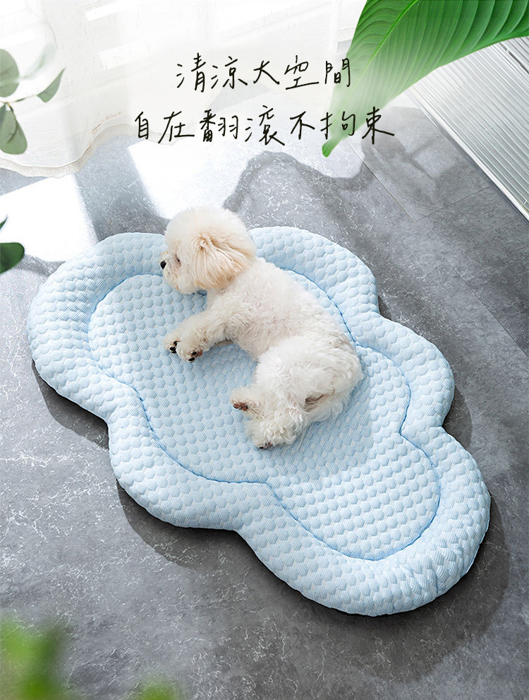 清涼大空間 自在翻滾不拘束 