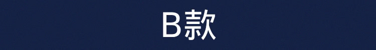 B款 