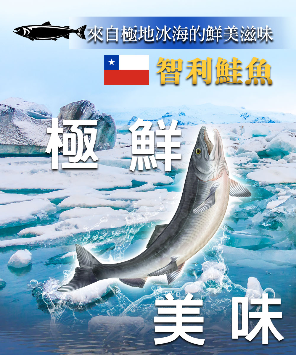 鮮綠生活 頂級智利鮭魚菲力900g經濟包 3包(900g±1