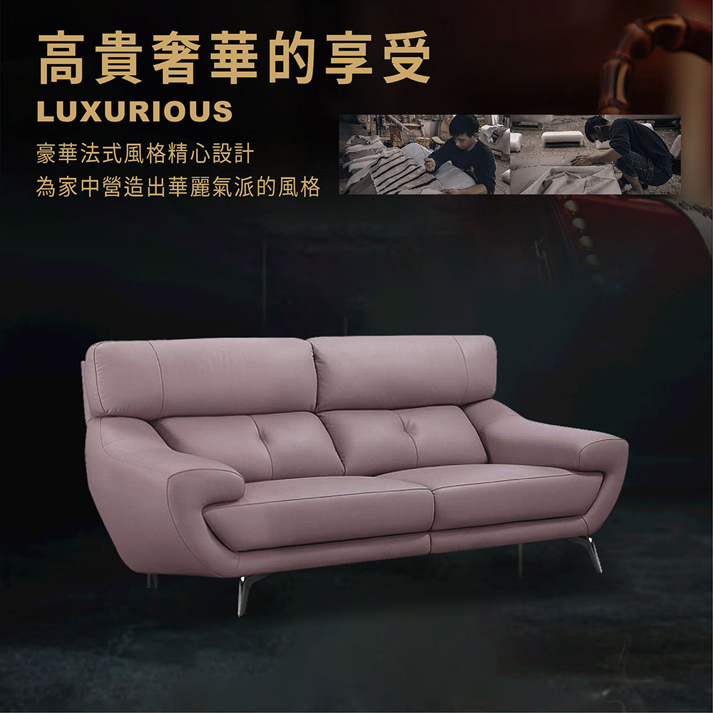 ASSARI 帝蘭朵經典三人座半牛皮沙發 推薦